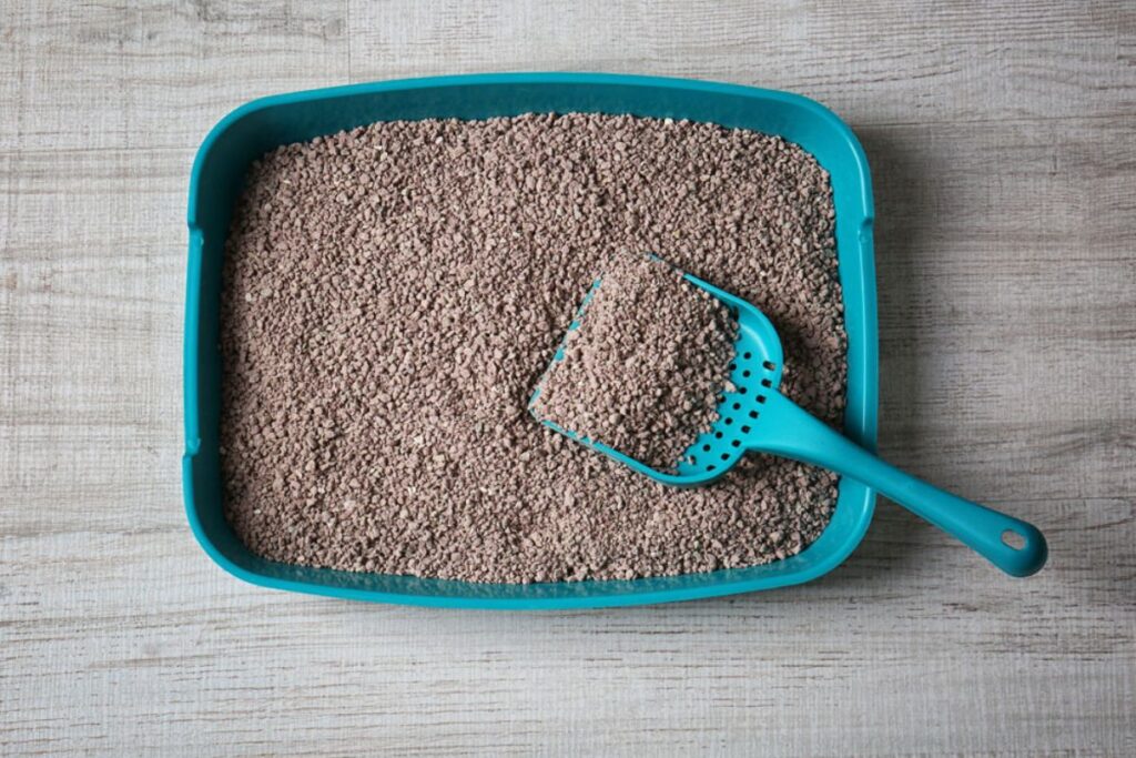 cach-huan-luyen-cho-di-ve-sinh